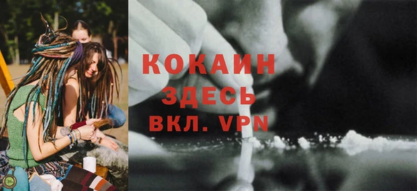 шишки Баксан
