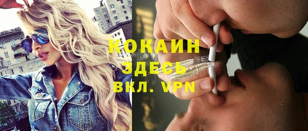 шишки Баксан