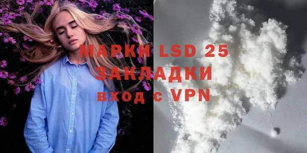 шишки Баксан