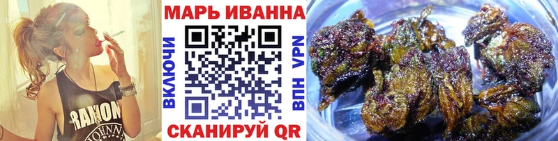 Конопля сатива  где можно купить   Гай 